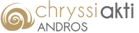 Chryssi Akti Hotel
